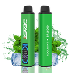 BEASTPOD 16000 PUFFS